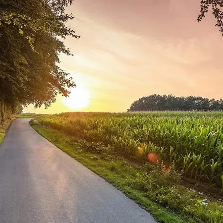 4 Person In Tranekær